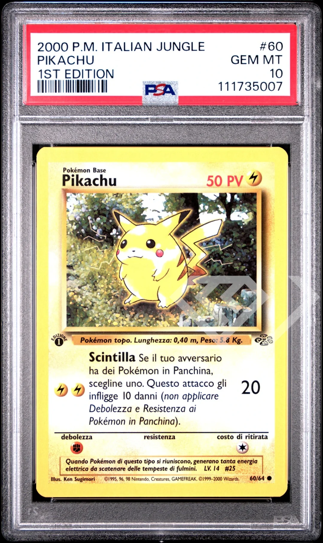 Pikachu 60/64 - PSA 10 Jungle 1st Edition Italian