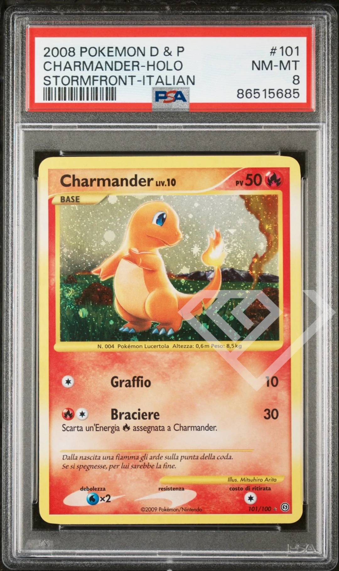 Charmander 101/100 Holo -PSA 8 Stormfront Italian