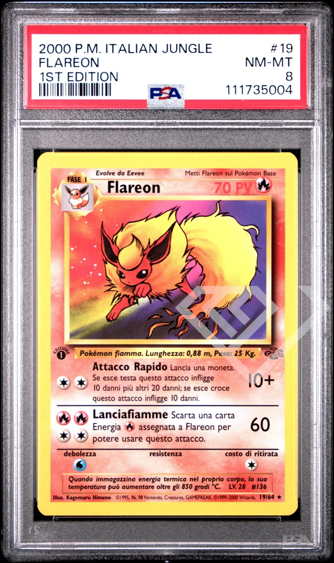Flareon 19/64 - PSA 8 Jungle 1st Edition Italian