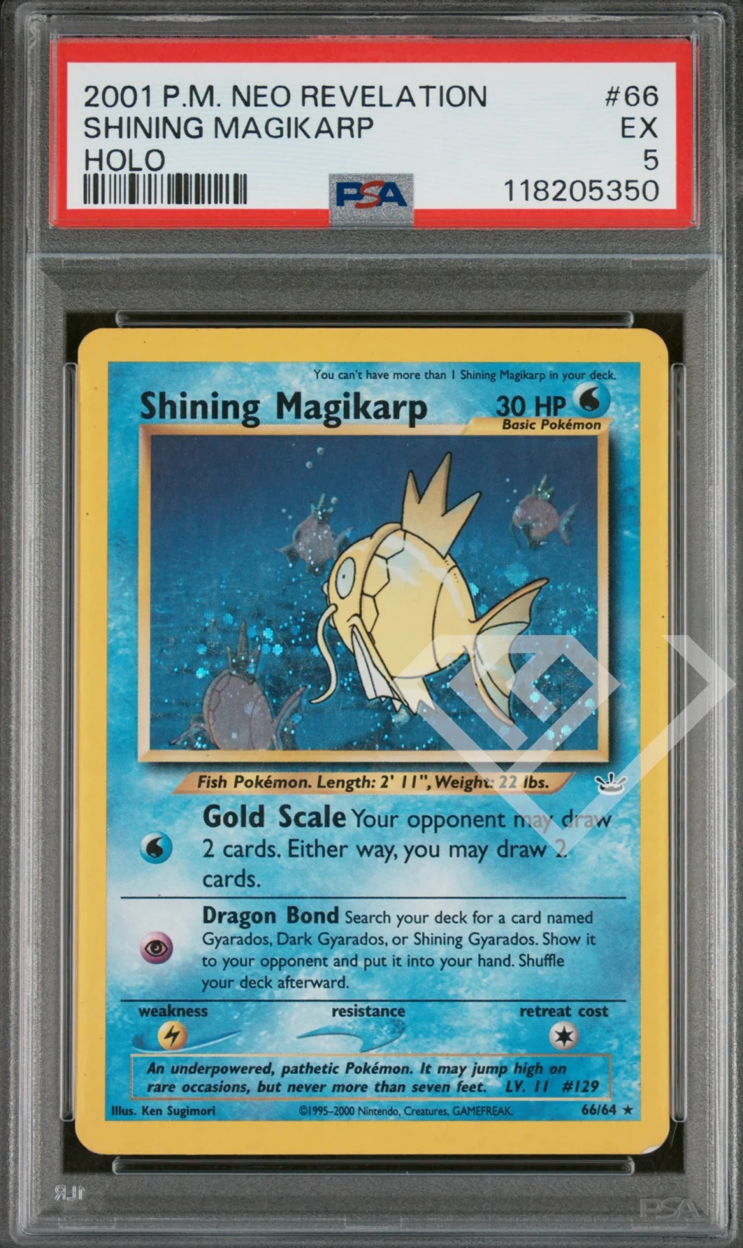 Shining Magikarp 66/64 Holo - PSA 5 Neo Revelation English