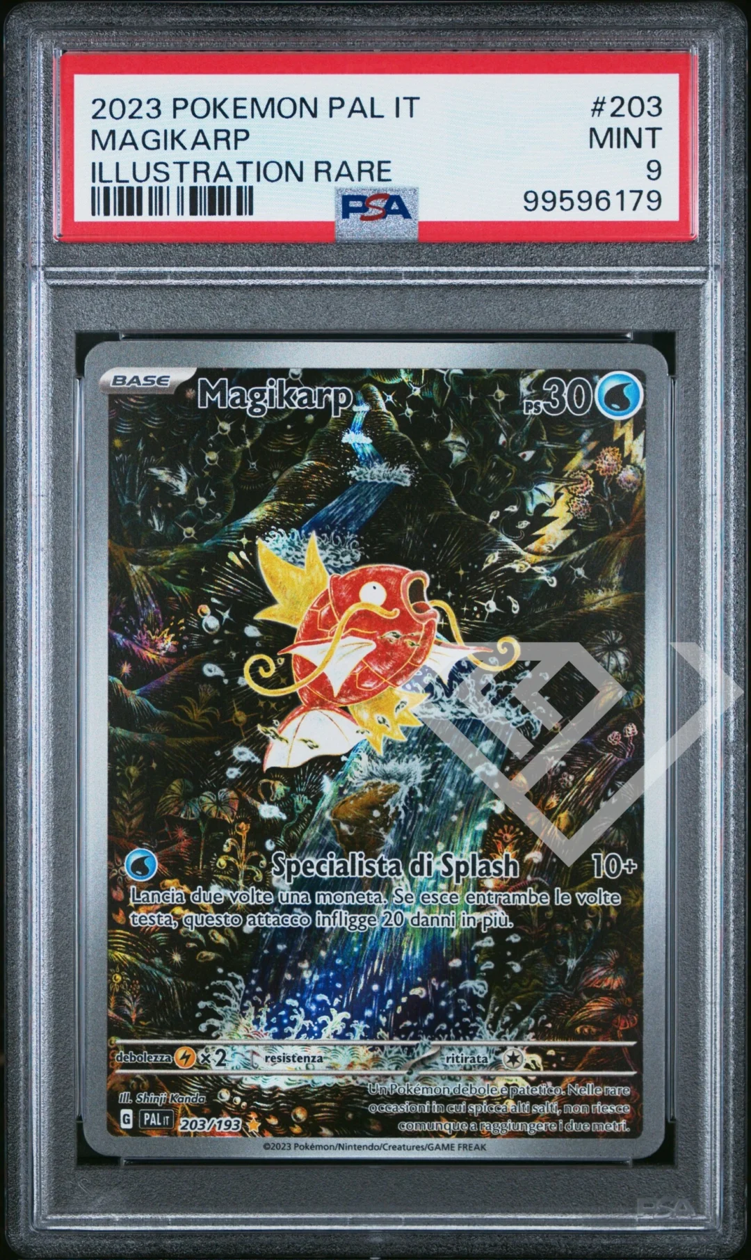 Magikarp 203/193 Illustration - PAL Paldea Evolved/Evoluzioni a Paldea PSA 9 Italian