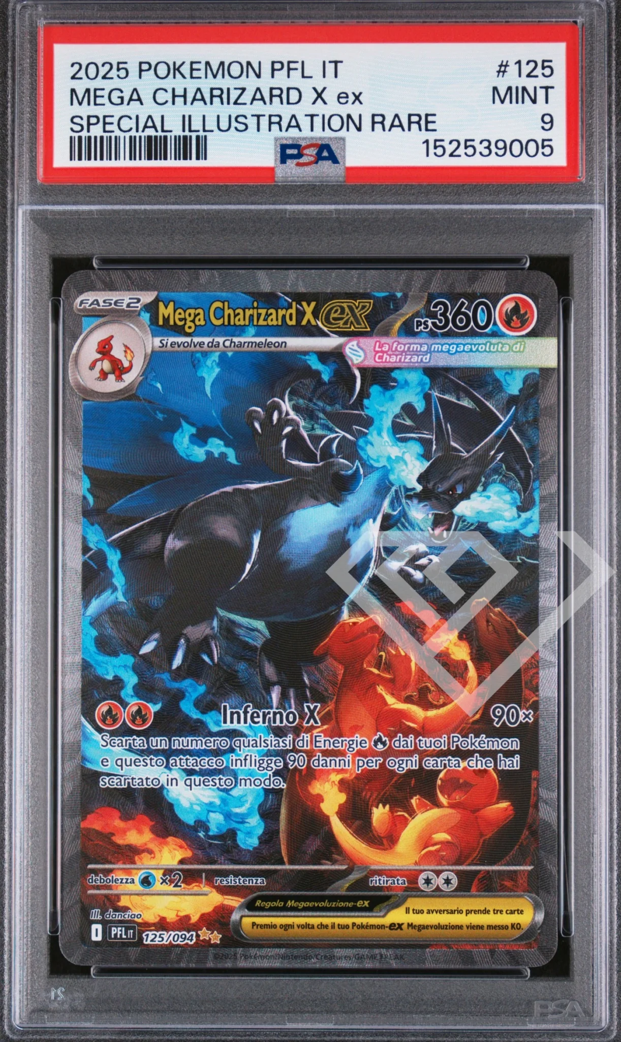 Home - grading supplies italia - official site Mega-charizard-x-ex-pfl-125-psa-9-italian