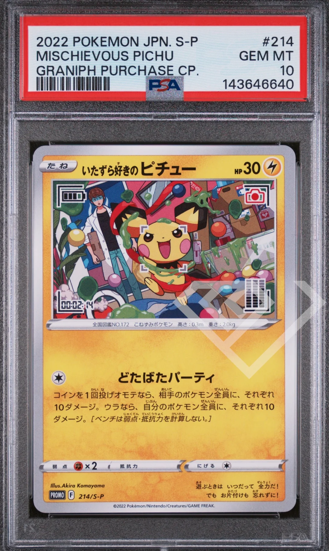 Mischievous Pichu 214 S-P Graniph Purchase - PSA 10 Japanese